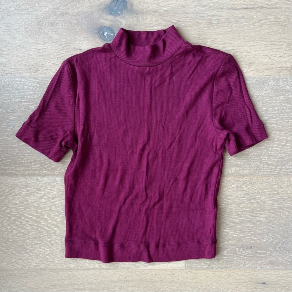 Babaton Gonzalo Ribbed T-shirt in Burgundy